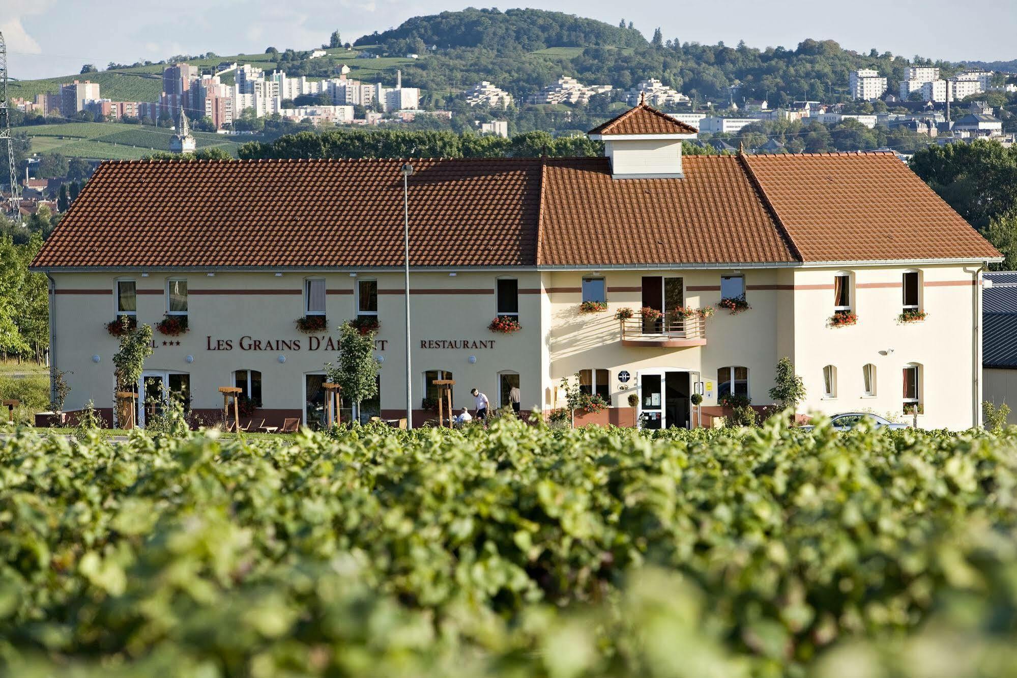Hotel Restaurant Les Grains D'Argent Dizy - Epernay Ngoại thất bức ảnh